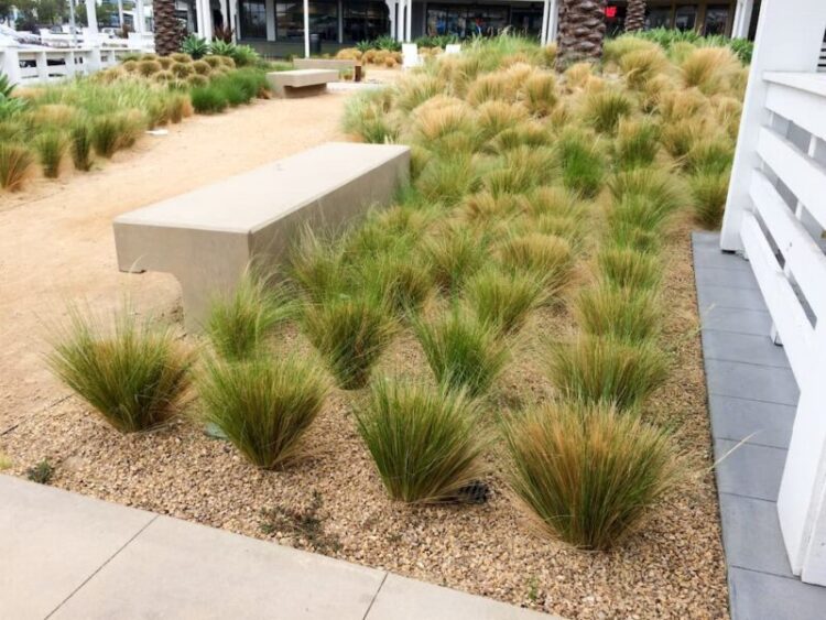 curb appeal desert landscape front yard