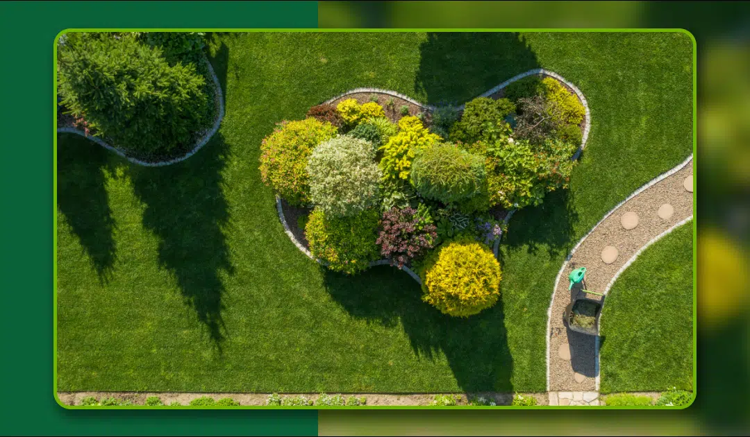 6 Creative Landscaping Ideas for Arizona Backyards