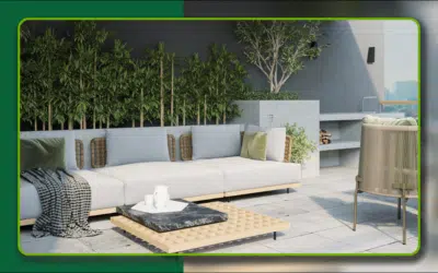 6 Eco-Friendly New Construction Landscaping in Arizona