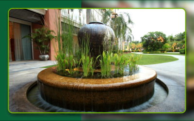 Top 5 Benefits of Adding a Water Feature to Your AZ Backyard