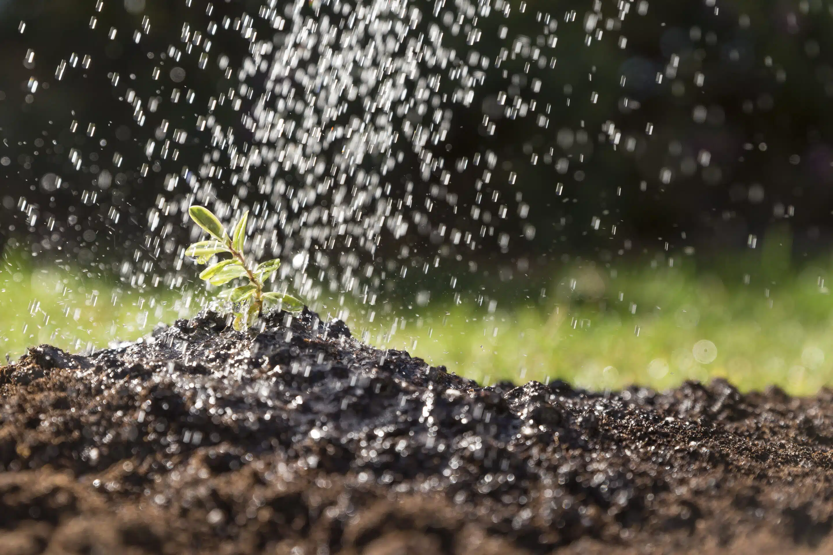 water-falling-plant irrigation system