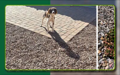 Choosing the Right Gravel and Mulch for Arizona Landscapes