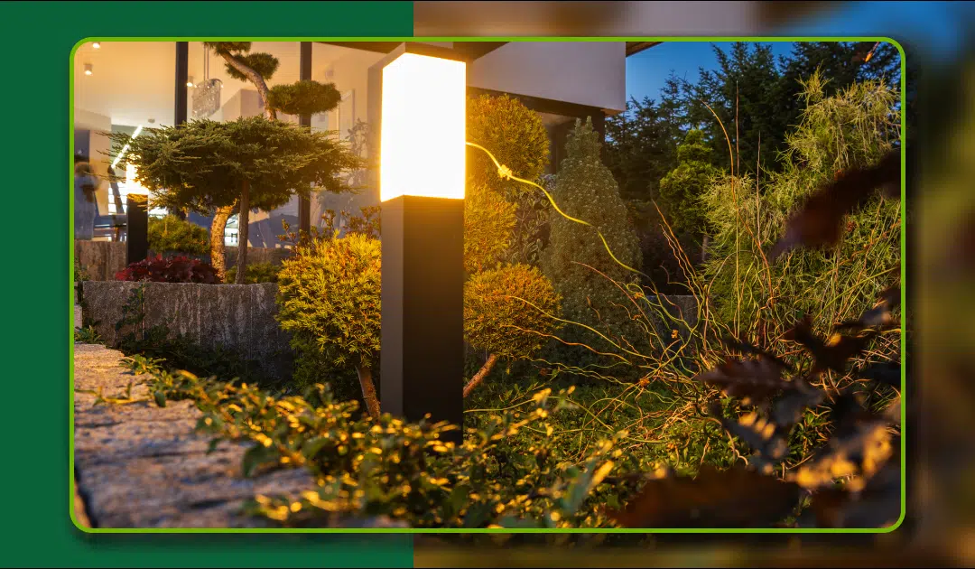 LED vs. Halogen Landscape Lighting: Which is Right for You?