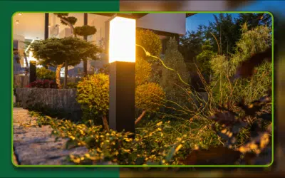 LED vs. Halogen Landscape Lighting: Which is Right for You?