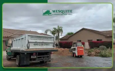 9 Reasons People Add Gravel to Their Landscape in Arizona