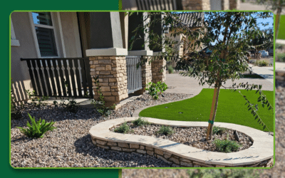 Expert Guide to Successful Landscape Installation: Transform Your Outdoor Space