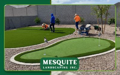 Elevate Your East Valley Property with Professional Custom Landscape Design
