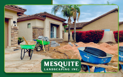 Landscape Design Packages for Backyard Remodels & New Construction (2026 Guide)