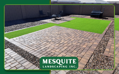 How Long Does Artificial Turf Last in Arizona? A Homeowner’s Guide