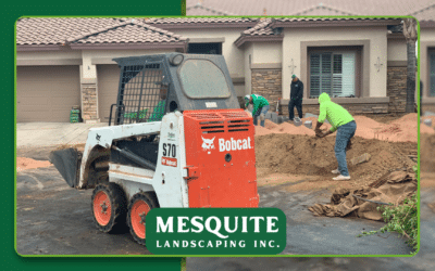 How a Landscape Designer Helps You Plan, Visualize, and Build Your Dream Outdoor Space in 2026