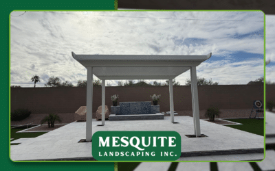 How to Use a Backyard Designer to Build Your Outdoor Living Oasis