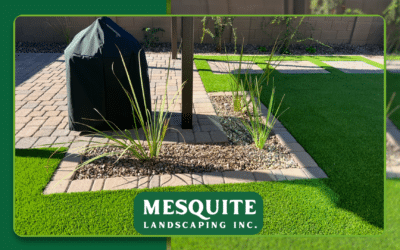 Mesquite Landscape Design Services Will Turn Your Arizona Yard Into a Custom Outdoor Retreat