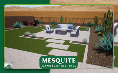 Native Plant Landscape Design in Arizona: A Complete Homeowner’s Guide